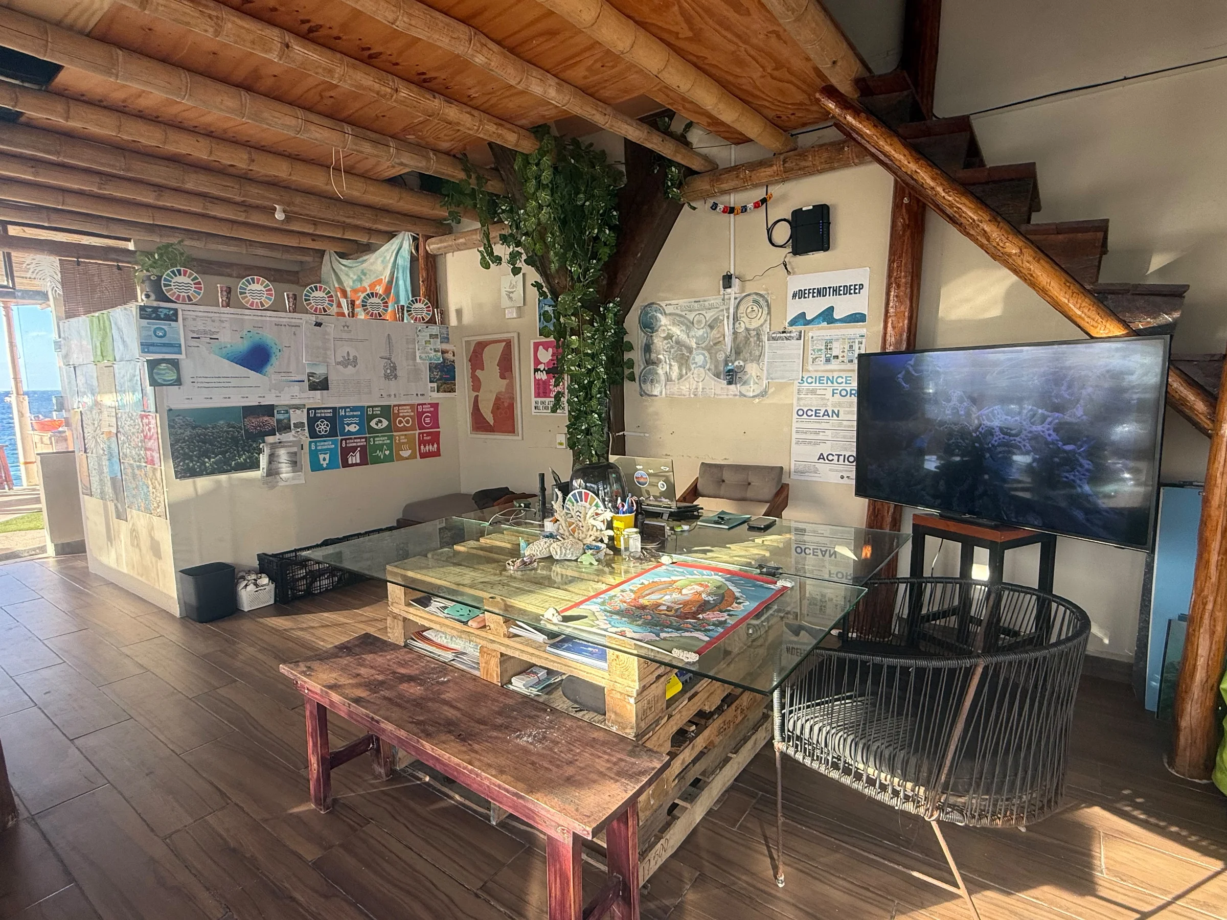 The Restore Coral headquarters in Cozumel: a workspace of ocean maps, Sustainable Development Goal posters and reef research materials