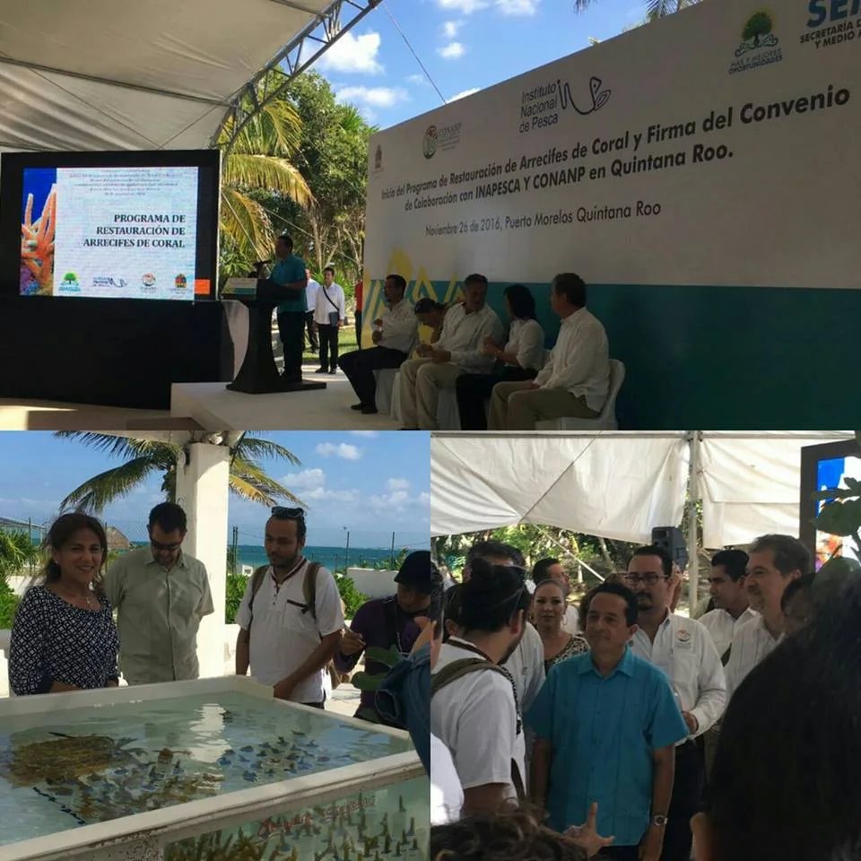 Officials seated at the signing of the Quintana Roo coral restoration agreement